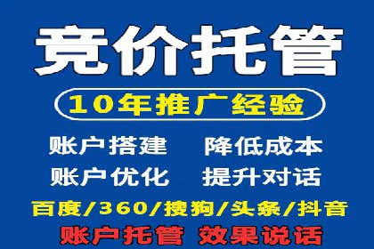 某某sem推广公司在某行业的应用与效果分析
